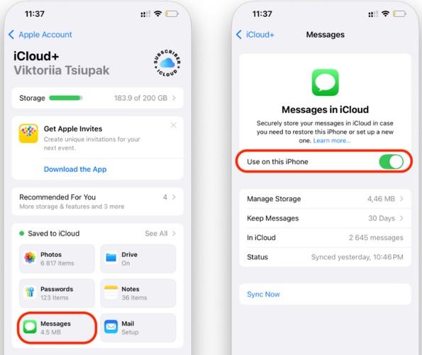 Check Messages in Icloud