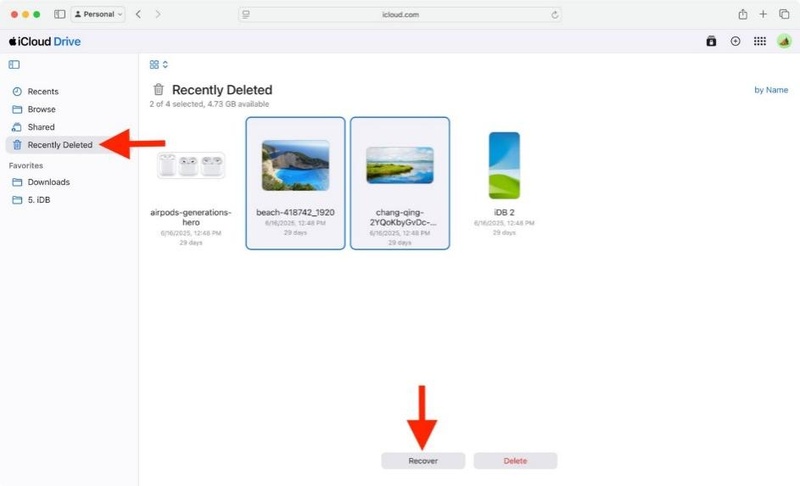 Recover Files to Icloud Drive