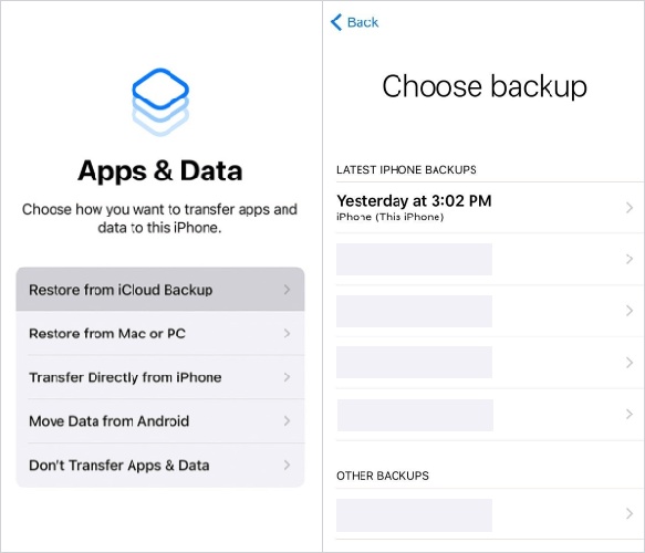 Restore from Icloud Backup