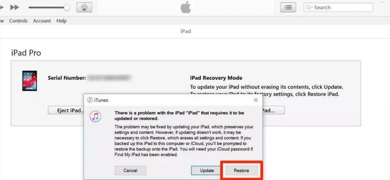 Restore Ipad Wipes Device Completely