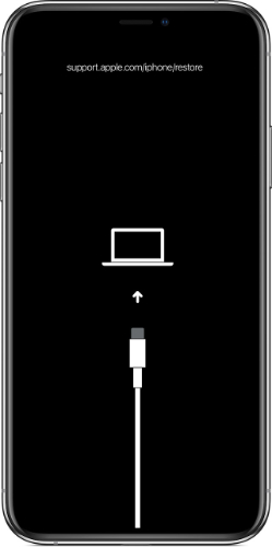 Cancel iCloud Backup Restore