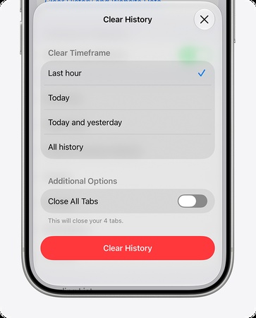 clear safari history website data settings