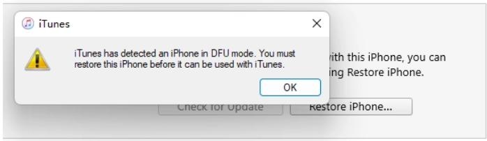 iTunes 已偵測到處於 DFU 模式的 iPhone
