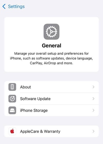 Open Settings General Software Update