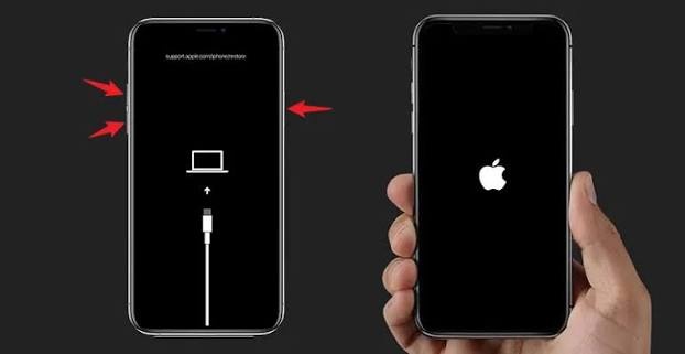 畫面出現 Apple 標誌後放開側邊按鈕