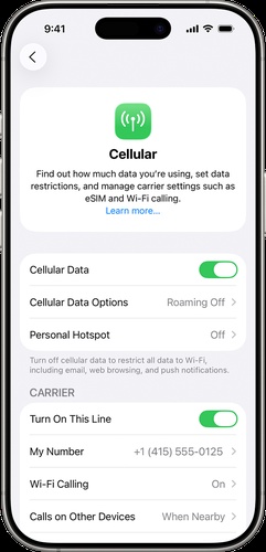 Turning on Data Roaming