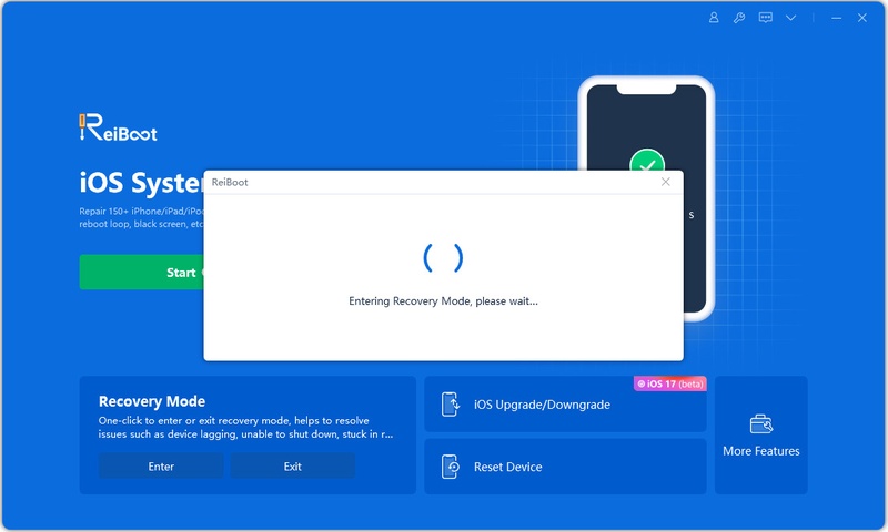 Entering Recovery Mode Using Reiboot