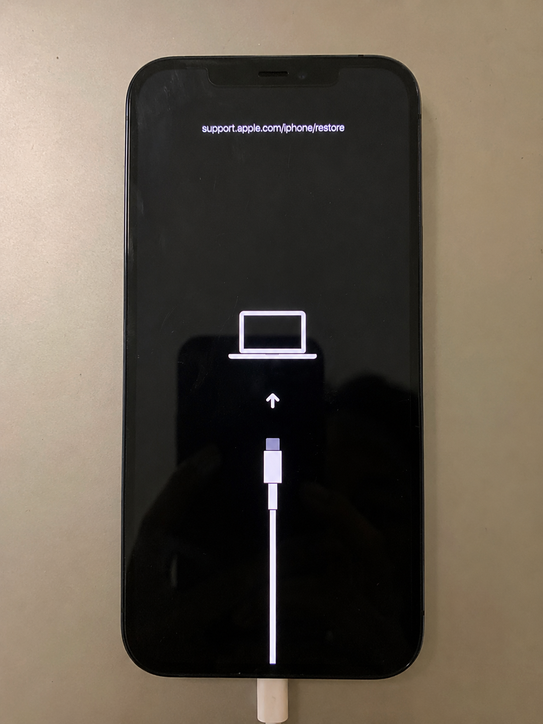iphone recovery mode