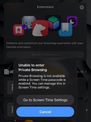 unable to enter private browsing