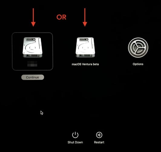 Choose Startup Disk in Mac Recovery Mode