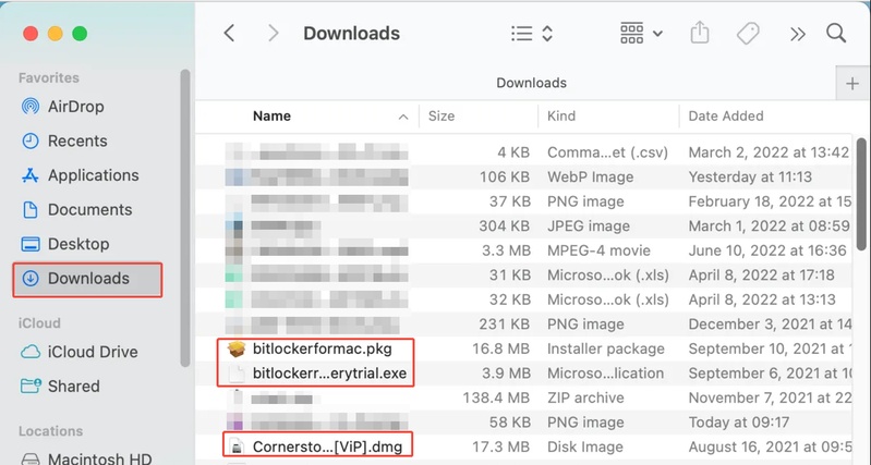 Delete Download History and Dmg to Clear Mac Other Storage