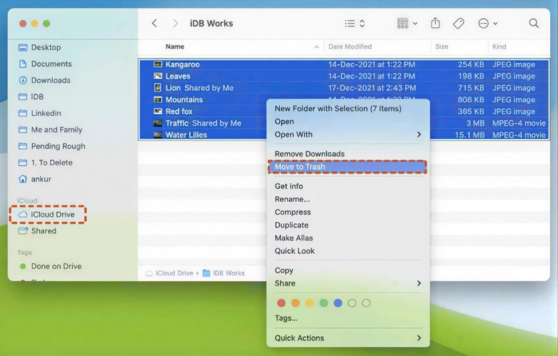 Delete Unnecessary Files from Icloud Drive