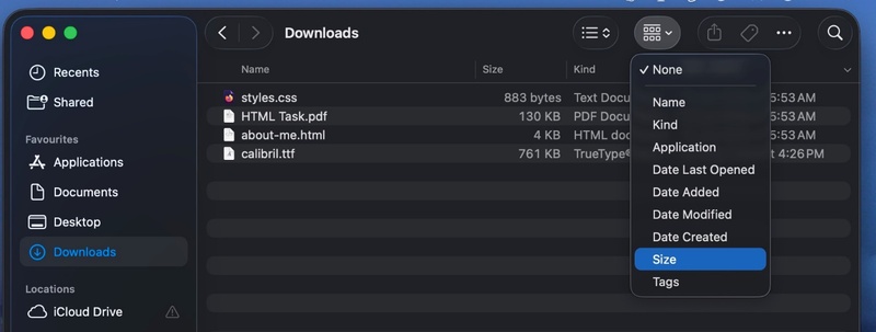 Find and Delete Large Files on Mac Finder