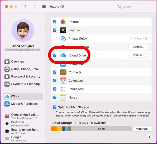 Mac Apple Id Settings with Icloud Drive Checked