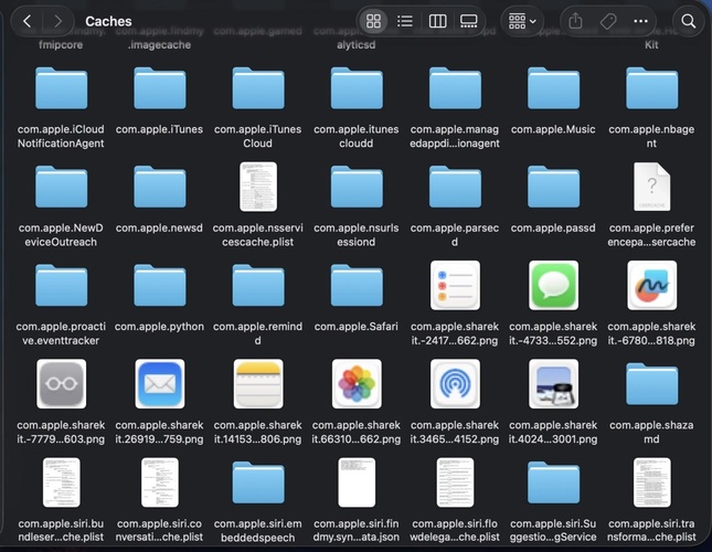 Mac System Data Cache Folder