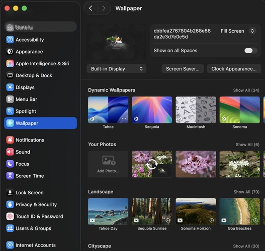 Change Dynamic Wallpaper to Still Photo