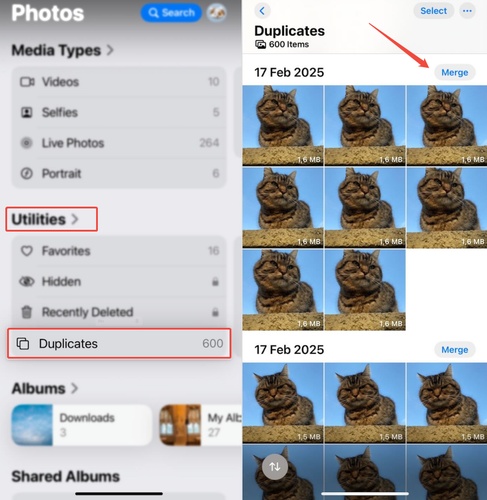 Find Duplicate Photos on Iphone