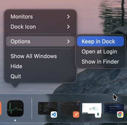 Open Mac Task Manager Via Dock