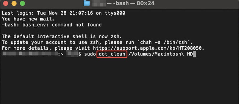 Terminal Dot Clean Command