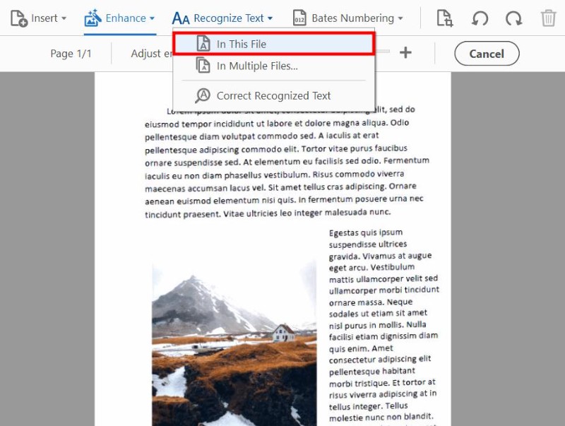 adobe text recognize