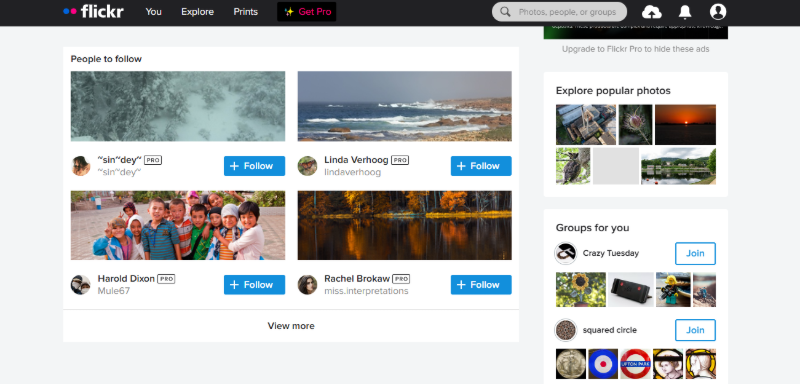 browse flickr website