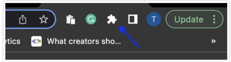 chrome extension icon