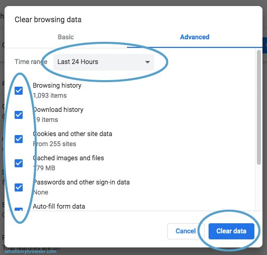 clear browser cache