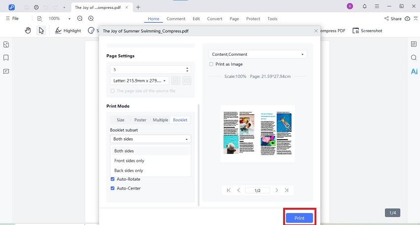 click print to start mirror pdf