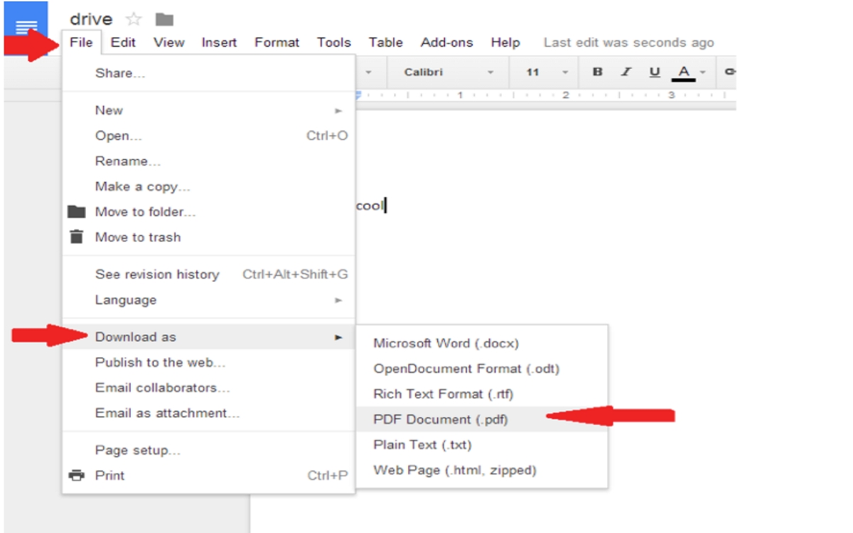 How to Create a Fillable PDF Form in Google Docs