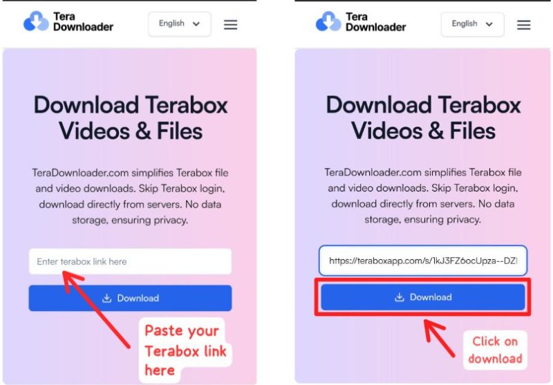 download from terabox via tera downloader