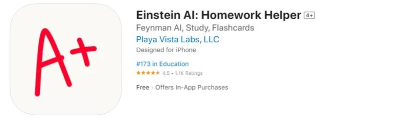 einstein ai 