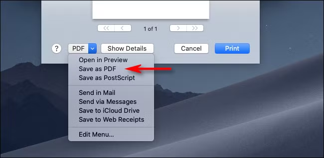 export pdf from print preview
