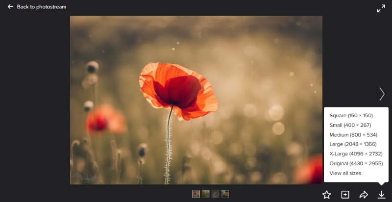 flicker image size option