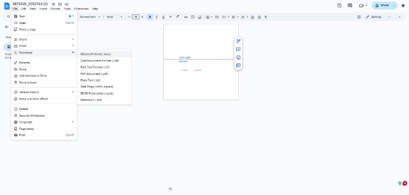 google drive convert pdf to word