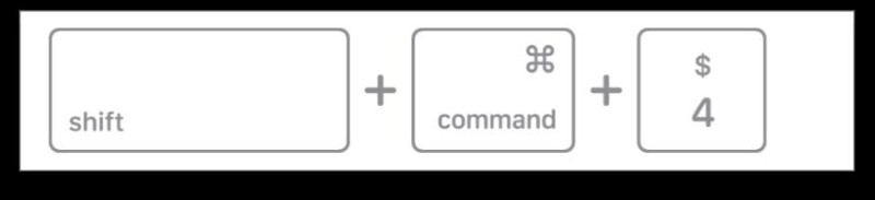 insert pdf content as an image in mac