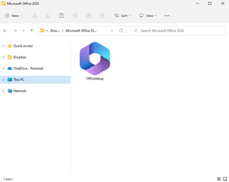 descargar office 2024 professional plus