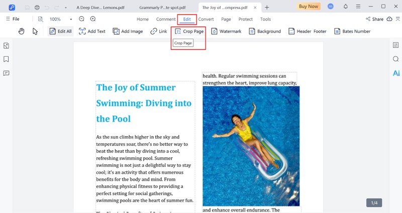 Open Pdf and Access Crop Tool