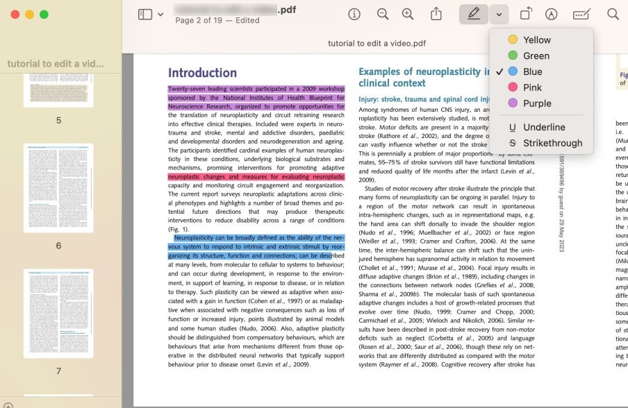 preview highlighter