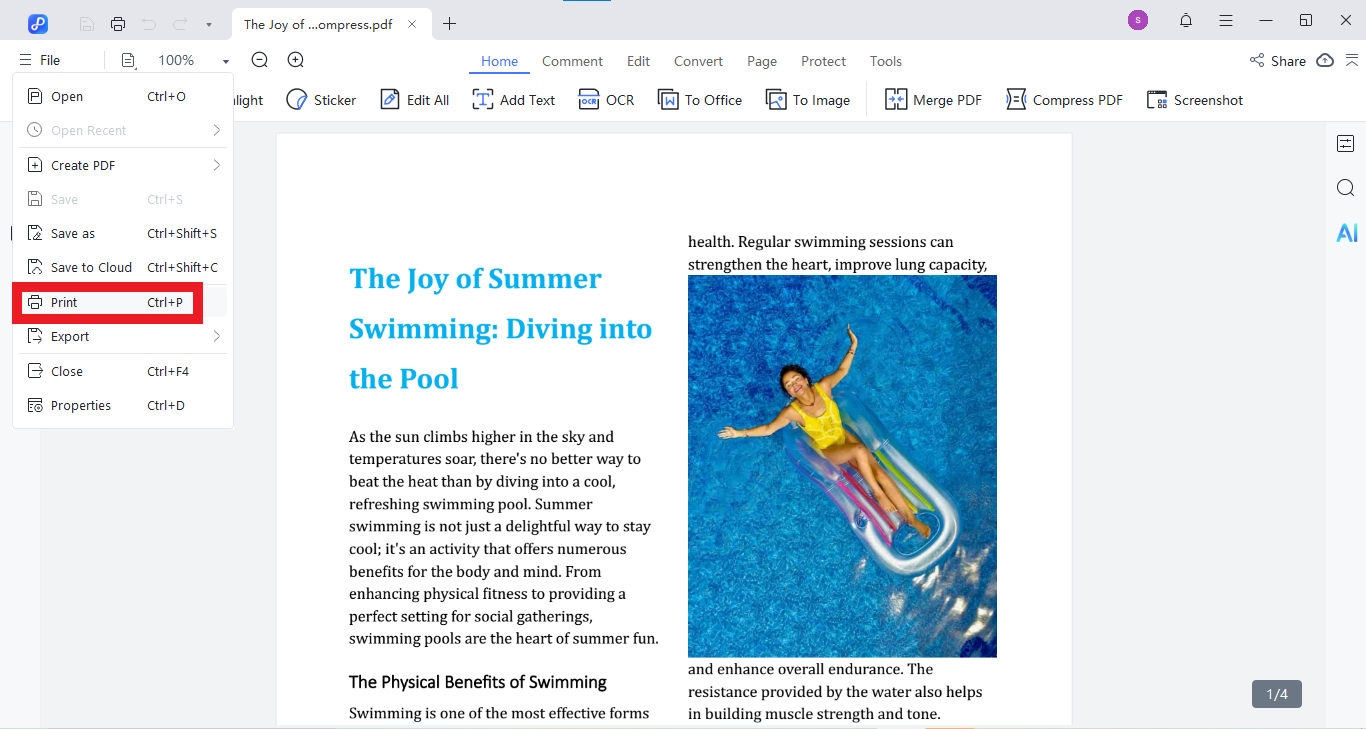 pdnob print pdf