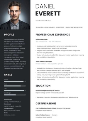 professional designs resume template 1