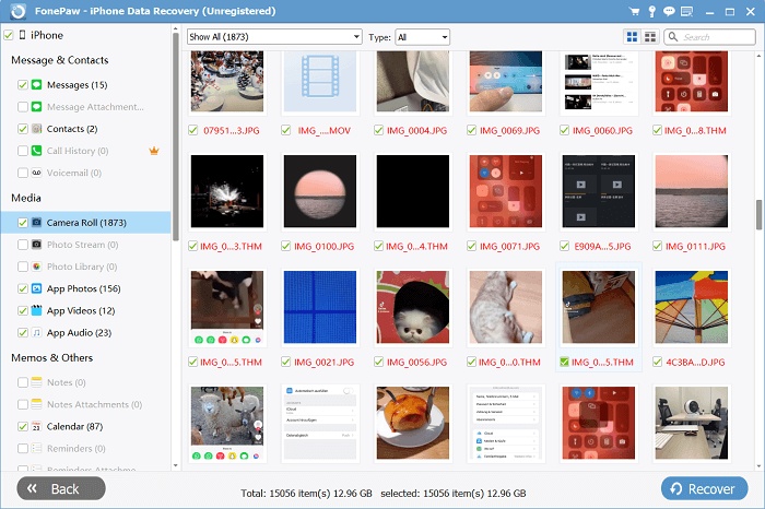 Fonepaw Data Category Overview Interface