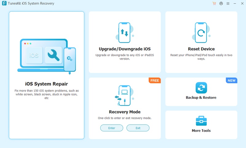 Tuneskit Ios System Recovery Software Interface