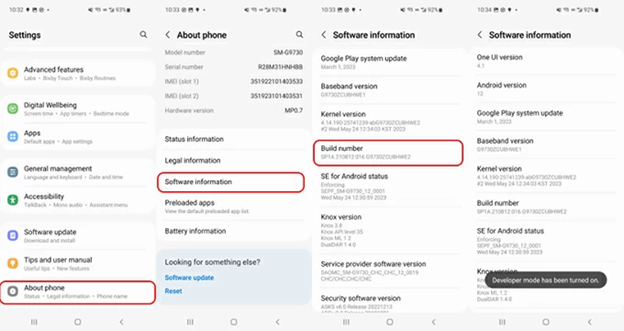 developer mode