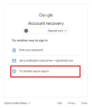 Reset Password Via Recovery Options