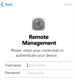 apple business manager