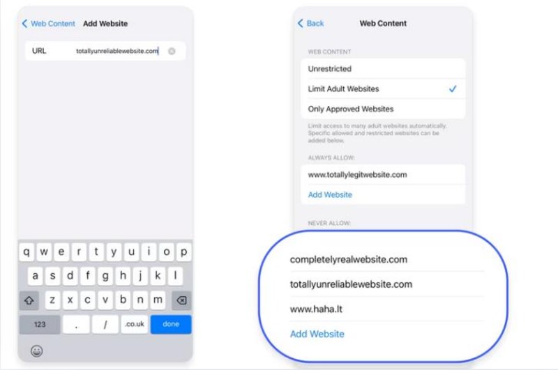 dd web content