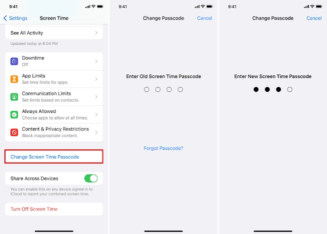 Enter Apple Id and Create Passcode