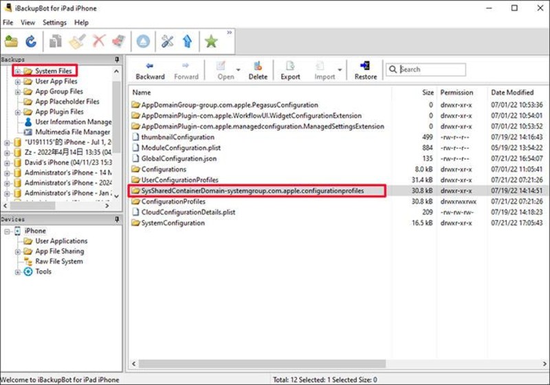 ibackupbot system file
