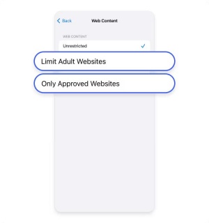 limit websites
