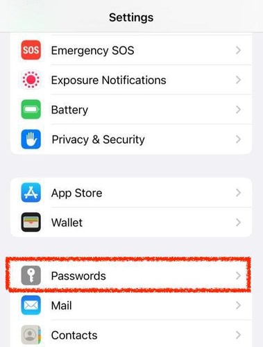 Open Settings and Tap Passwords